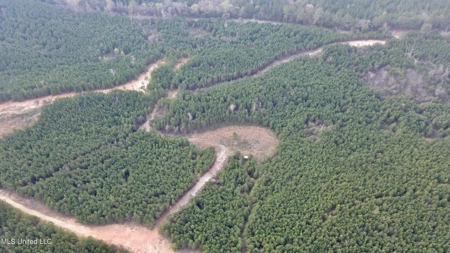 72 Acres Land for Sale Camden, MS - image 19