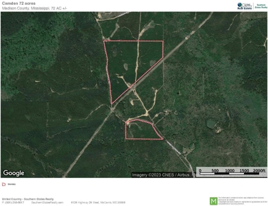 72 Acres Land for Sale Camden, MS - image 24
