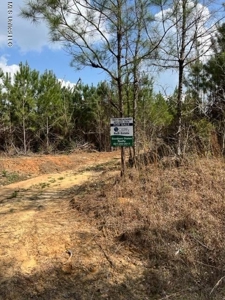 72 Acres Land for Sale Camden, MS - image 2