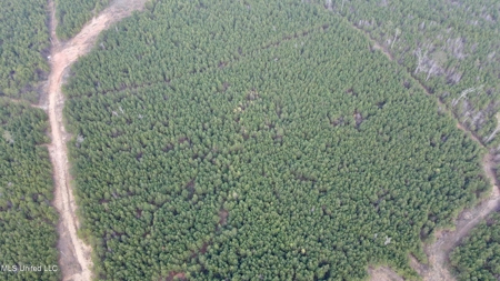 72 Acres Land for Sale Camden, MS - image 18