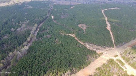72 Acres Land for Sale Camden, MS - image 16