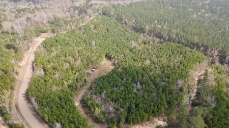 72 Acres Land for Sale Camden, MS - image 14