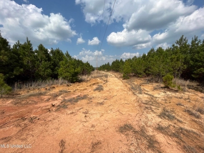 72 Acres Land for Sale Camden, MS - image 9