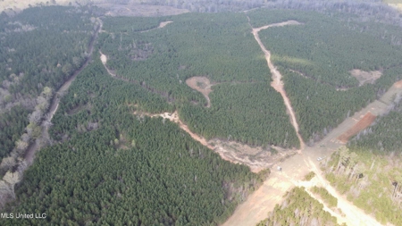 72 Acres Land for Sale Camden, MS - image 17