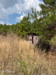 72 Acres Land for Sale Camden, MS - image 7