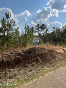 72 Acres Land for Sale Camden, MS - image 22
