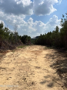 72 Acres Land for Sale Camden, MS - image 4