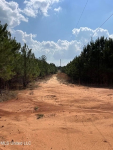 72 Acres Land for Sale Camden, MS - image 11