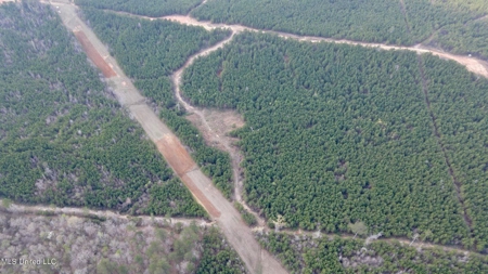 72 Acres Land for Sale Camden, MS - image 20