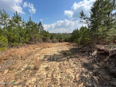 72 Acres Land for Sale Camden, MS - image 10