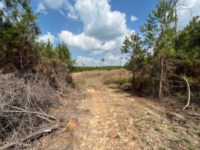 72 Acres Land for Sale Camden, MS - image 13