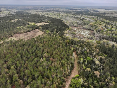 Geneva Alabama Hunting Land for Sale 466ac - Riverfront - image 39