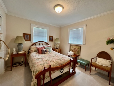 Geneva Alabama Hunting Land for Sale 466ac - Riverfront - image 20