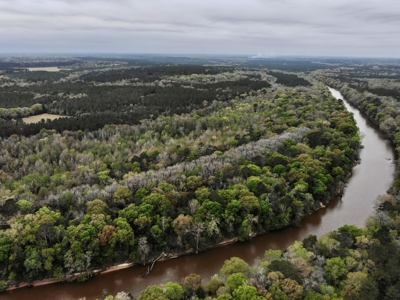 Geneva Alabama Hunting Land for Sale 466ac - Riverfront - image 4