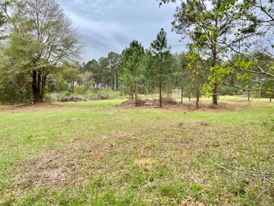 Geneva Alabama Hunting Land for Sale 466ac - Riverfront - image 31