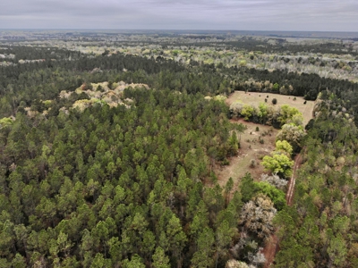 Geneva Alabama Hunting Land for Sale 466ac - Riverfront - image 38