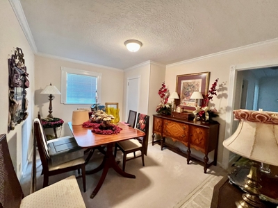 Geneva Alabama Hunting Land for Sale 466ac - Riverfront - image 43