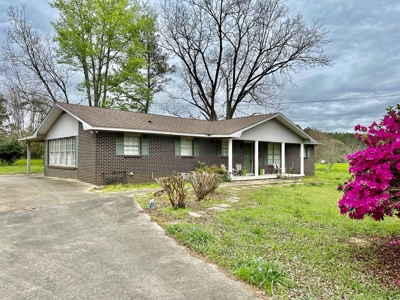 Geneva Alabama Hunting Land for Sale 466ac - Riverfront - image 15