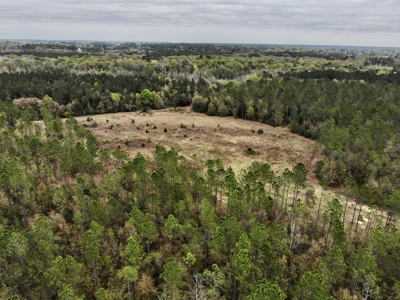 Geneva Alabama Hunting Land for Sale 466ac - Riverfront - image 37