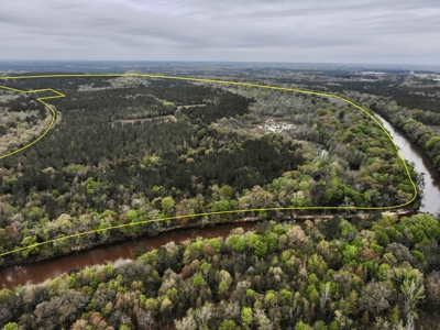 Geneva Alabama Hunting Land for Sale 466ac - Riverfront - image 41