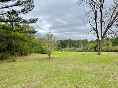 Geneva Alabama Hunting Land for Sale 466ac - Riverfront - image 23
