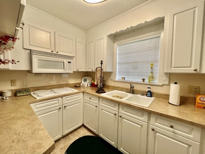 Geneva Alabama Hunting Land for Sale 466ac - Riverfront - image 19