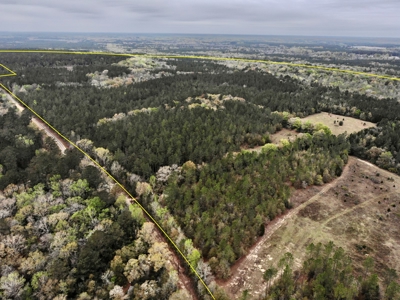 Geneva Alabama Hunting Land for Sale 466ac - Riverfront - image 3