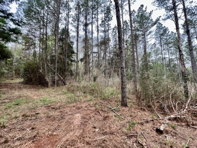 Geneva Alabama Hunting Land for Sale 466ac - Riverfront - image 30