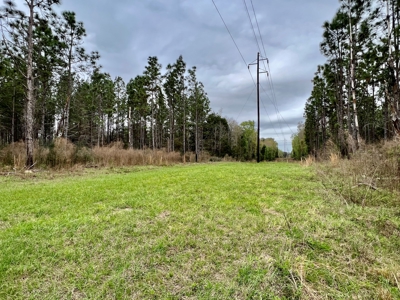 Geneva Alabama Hunting Land for Sale 466ac - Riverfront - image 11