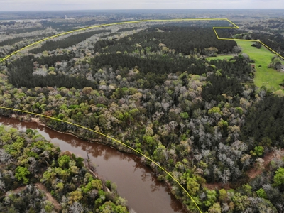 Geneva Alabama Hunting Land for Sale 466ac - Riverfront - image 36