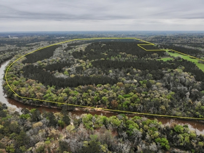 Geneva Alabama Hunting Land for Sale 466ac - Riverfront - image 1