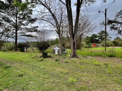 Geneva Alabama Hunting Land for Sale 466ac - Riverfront - image 24