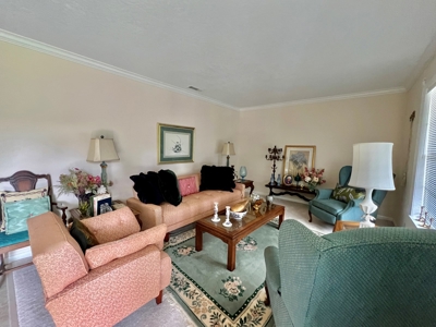 Geneva Alabama Hunting Land for Sale 466ac - Riverfront - image 17