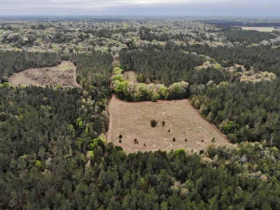 Geneva Alabama Hunting Land for Sale 466ac - Riverfront - image 14