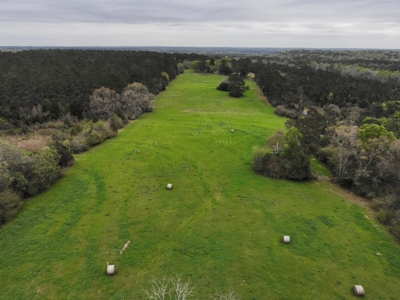 Geneva Alabama Hunting Land for Sale 466ac - Riverfront - image 35