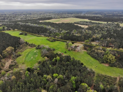 Geneva Alabama Hunting Land for Sale 466ac - Riverfront - image 34