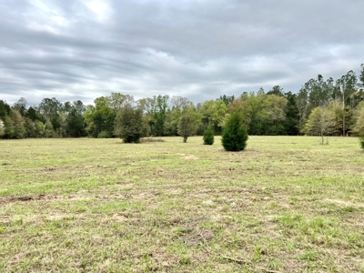 Geneva Alabama Hunting Land for Sale 466ac - Riverfront - image 27