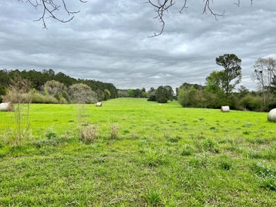 Geneva Alabama Hunting Land for Sale 466ac - Riverfront - image 44