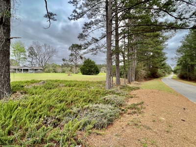 Geneva Alabama Hunting Land for Sale 466ac - Riverfront - image 2