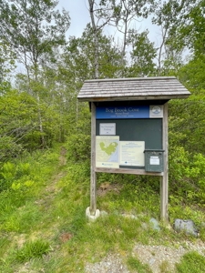 Maine Oceanfront Land - image 10