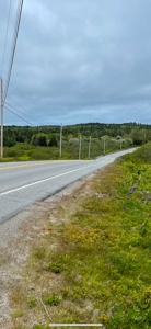 Maine Oceanfront Land - image 17