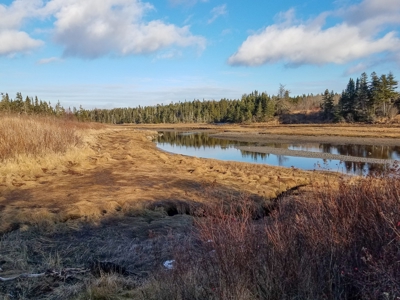 Maine Oceanfront Land - image 1