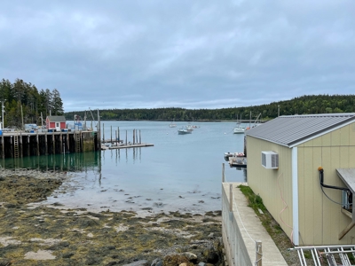 Maine Oceanfront Land - image 7