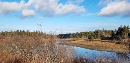 Maine Oceanfront Land - image 2