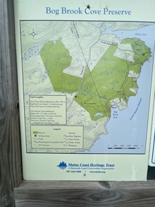 Maine Oceanfront Land - image 11