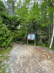 Maine Oceanfront Land - image 13