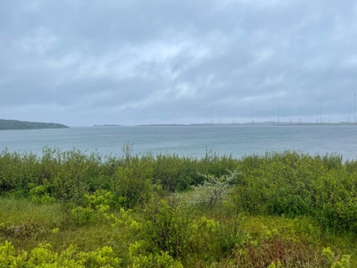 Maine Oceanfront Land - image 9