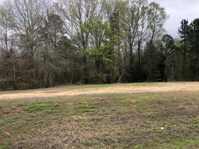 Easy Access Hunting Property with Timber - image 5