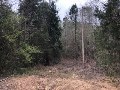 Easy Access Hunting Property with Timber - image 3