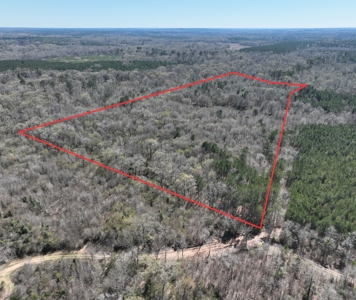 Excellent Hunting / Recreational Property - image 8